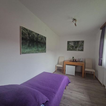 לינה וארוחת בוקר יאזרצה Plitvice House Rosha מראה חיצוני תמונה
